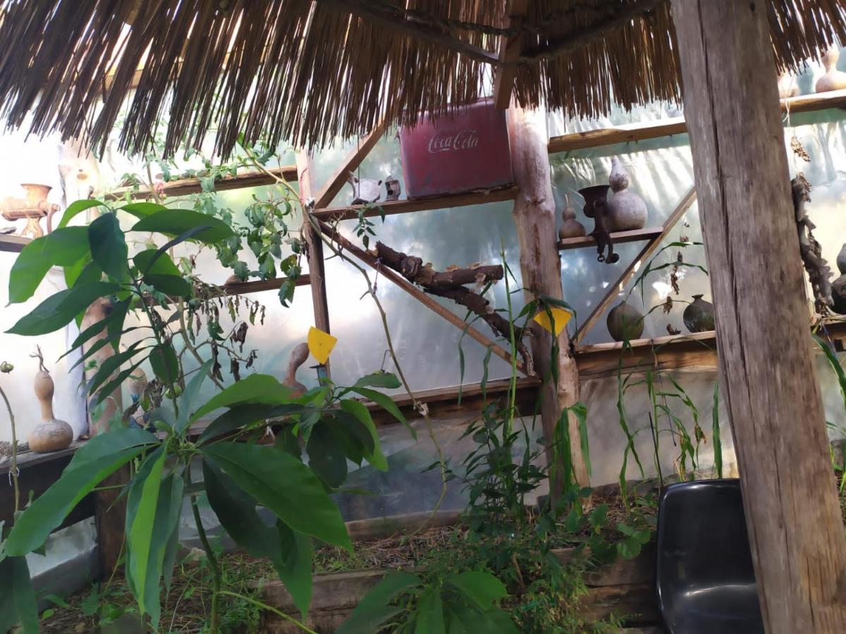 Casa Candombe Y Mar Barra de Valizas Exterior photo